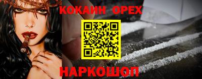 гидра Краснознаменск