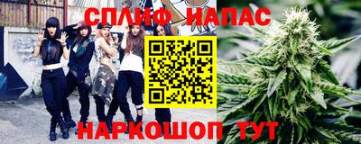 гидра Краснознаменск