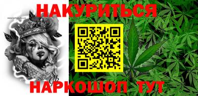 гидра Краснознаменск