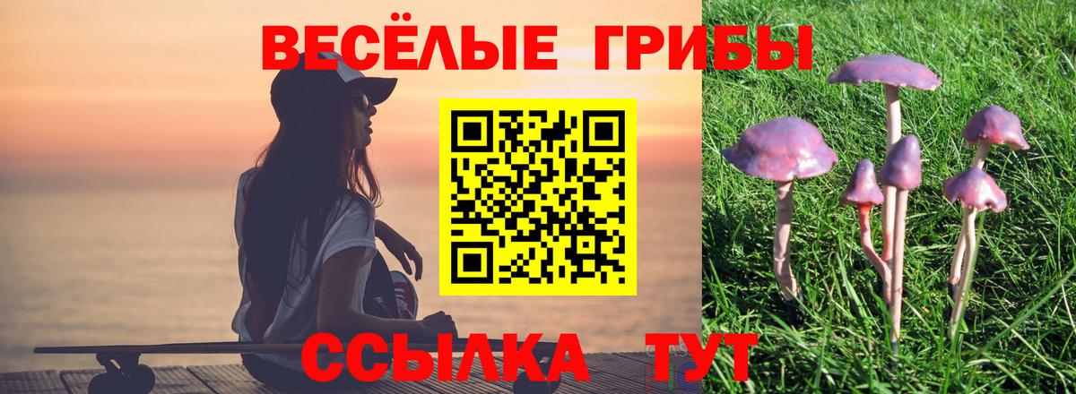Псилоцибиновые грибы мицелий  Вход с VPN  цены   Знаменск 